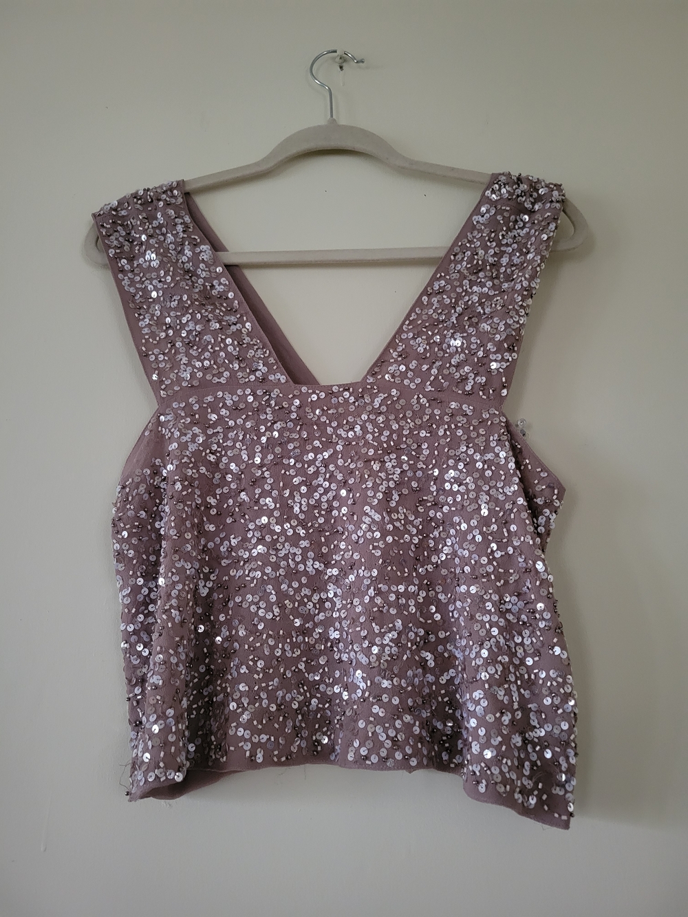 Zara Sequin Sleeveless V-Back Crop Top - Mauve
